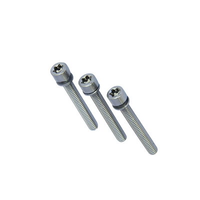 Torx Pin Tamper Proof Security Machine Screw Button 6 Lobe Torx Center Pin Head (Tổng pin trung tâm)
