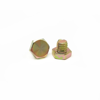Tùy chỉnh đinh lục giác trang trí vít cường độ thép không gỉ 304