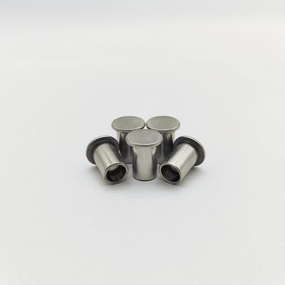 Đinh tán bán ống đầu phẳng bằng thép không gỉ 316L ISO 15977