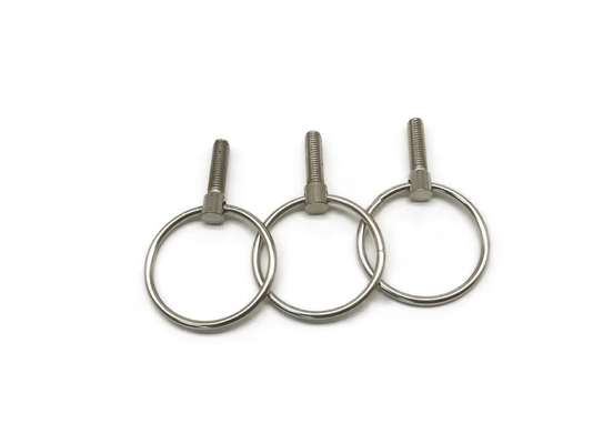 C1008 Non Standard Fastener, vít mắt nhỏ bằng thép không gỉ M6x16