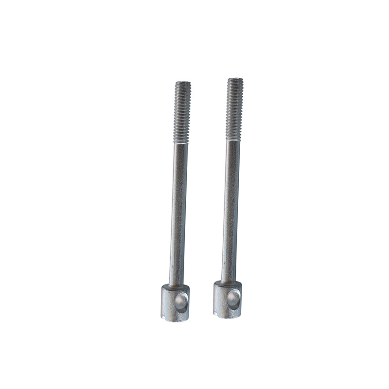 Electric Meter Seal Screw Drilled Head Sealing Screw Slotted Capstan Screws Electricity Meter Screw Phillips With Holes Bolts (Đây là một loại vít có lỗ đệm)