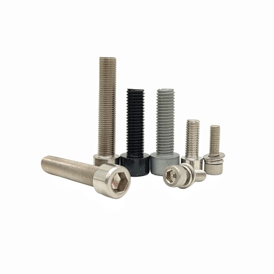 Thép không gỉ Custom 316L ốc vít Hexagon Socket Glue ốc vít chống thả