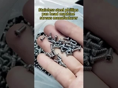 Phillips pan head tự gõ vít cho plactis