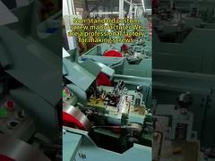 M5x6 Stainless Steel Oval Head Machine Screws, 8.38g slits cheese head screw