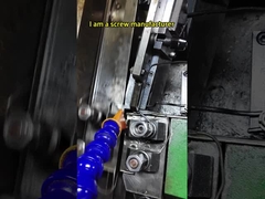 Các vít tùy chỉnh độ chính xác cao nhất! Từ an ninh đến ô tô