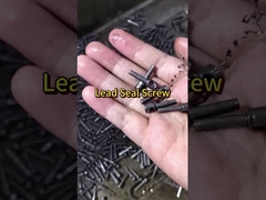 An toàn& đáng tin cậy! Nhà sản xuất hàng đầu của Electric Meter Sealing Screws& Fasteners #customfasteners