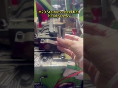 Từ M1.0 đến M20: Chúng tôi tạo ra bất kỳ bộ buộc không gỉ nào!